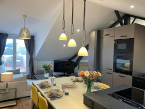 L'incroyable,appartement haut de gamme climatisé, central Dijon